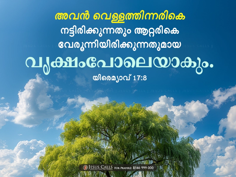 blessing-img