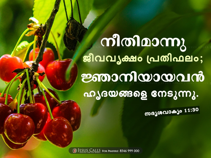 blessing-img