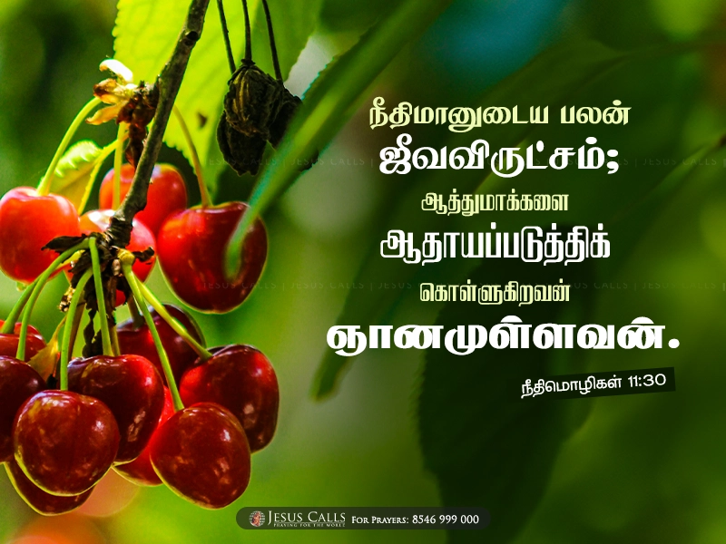 blessing-img