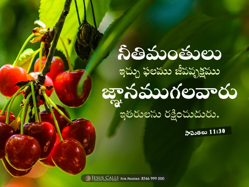 blessing-img